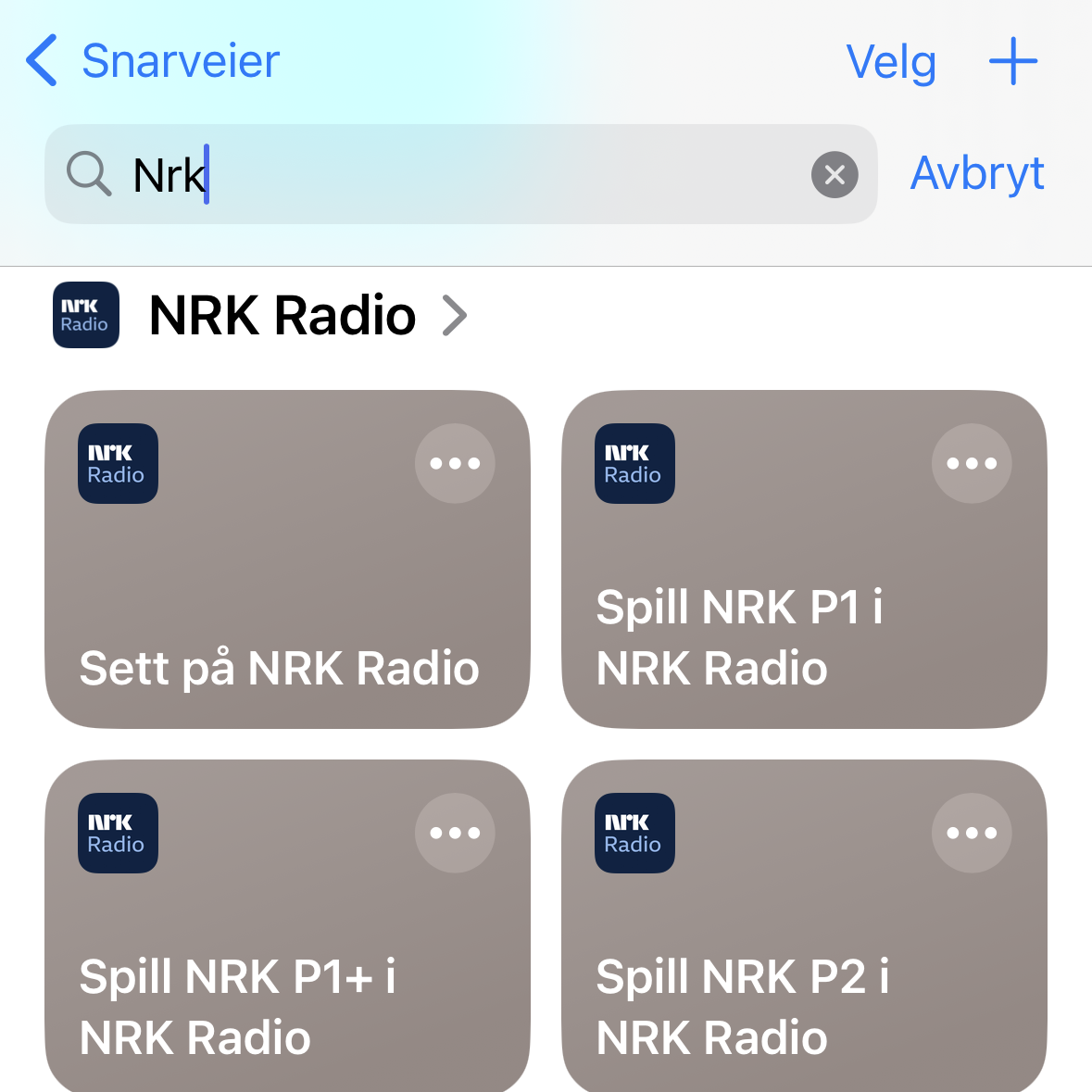 Skjermbilde som viser søkeresultater i appen Snarveier. Fire bokser vises, med hver sine titler inni boksene. "Sett på NRK Radio", "Spill NRK P1 i NRK Radio", "Spill NRK P1+ i NRK Radio" og "Spill NRK P2 i NRK Radio".